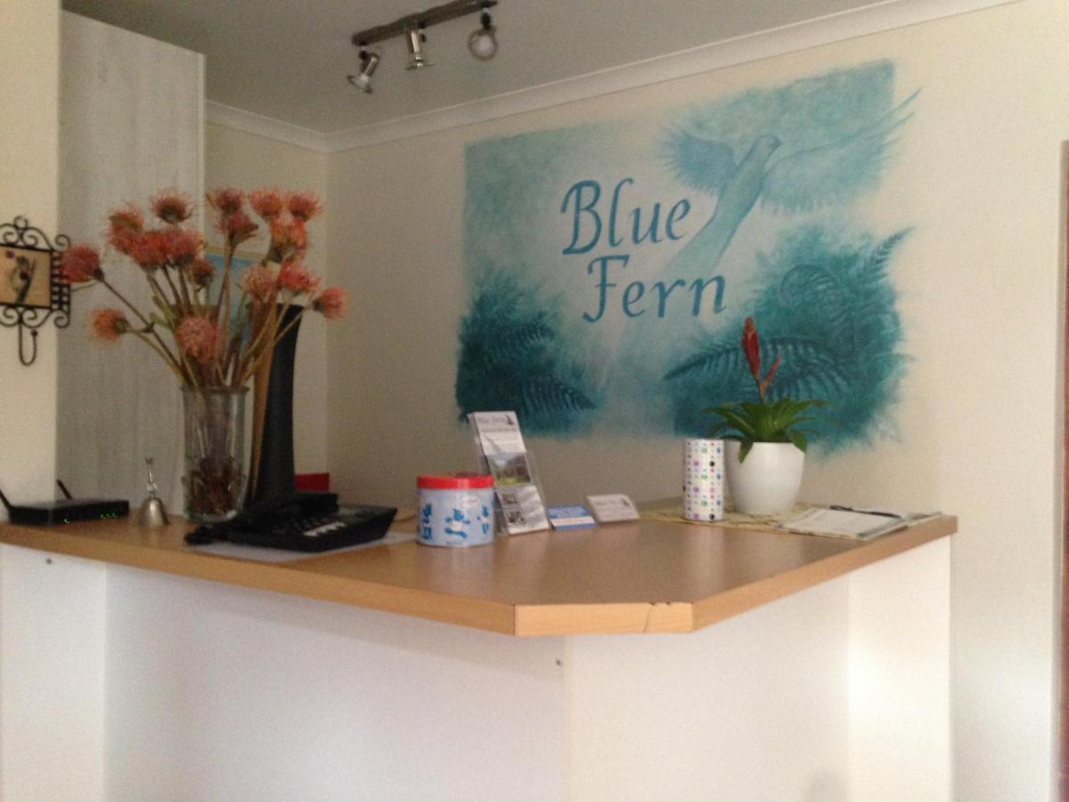 Blue Fern Of Knysna Bed & Breakfast Eksteriør bilde