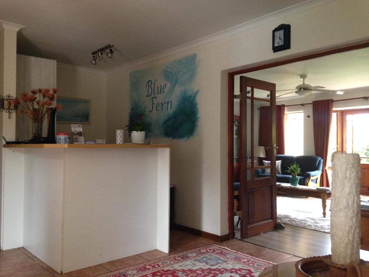 Blue Fern Of Knysna Bed & Breakfast Eksteriør bilde